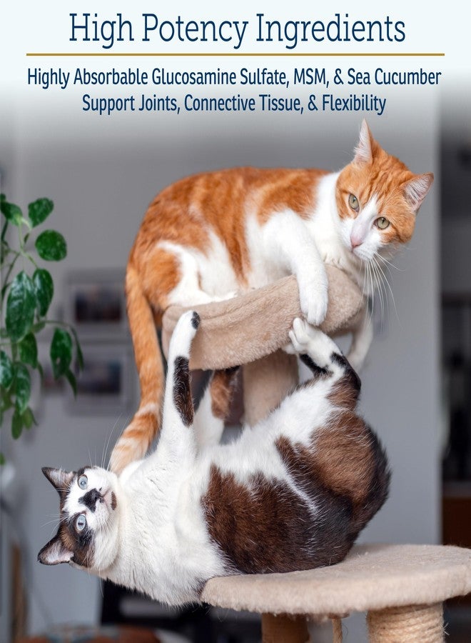 ركس فيتامينز فيتامينات آر إكس ميجا فليكس - جلوكوزامين سلفات مع ميثيل سلفونيل ميثان - مكمل غذائي للقطط والكلاب لصحة الورك والمفاصل - يحتوي على فيتامين سي وخيار البحر - يدعم صحة المفاصل ومرونتها - 600 غرام - Image 4