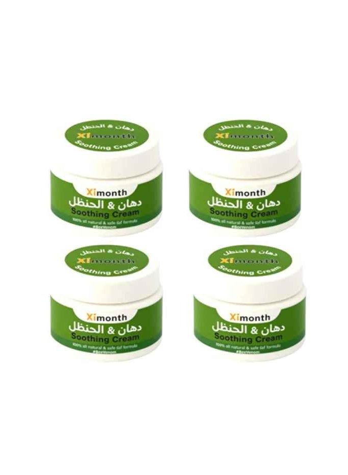 دهان الحنظل من اكسيمونت 4 وحدات