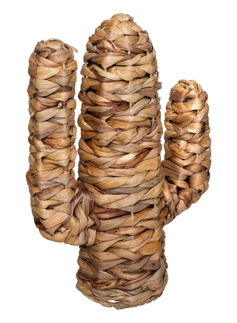 لوفت HACI HYCTH، صبار ديكور،غرفة معيشة،غرفة نوم،مجلس، L26XP12XH35CMS، بيج-178738 - Image 3