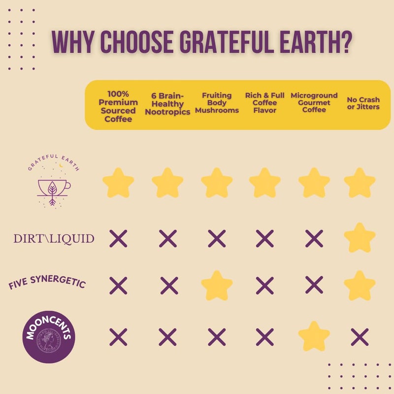 Grateful Earth Mushroom Coffee, Espresso Instant Coffee with Cinnamon, Turmeric, Lion’s Mane Mushrooms, L-Theanine, Chaga Super Brain Blend, Energy & Immune Support, Dairy & Gluten Free, 2 Bags, 40 Ct - Image 4