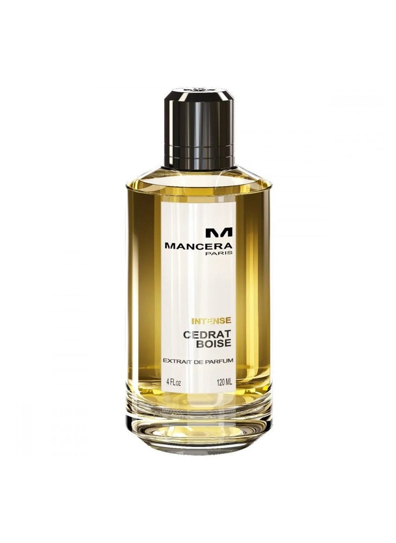 YOUMSERA Cedrat Boise Intense EDP 120ml  - Image 2
