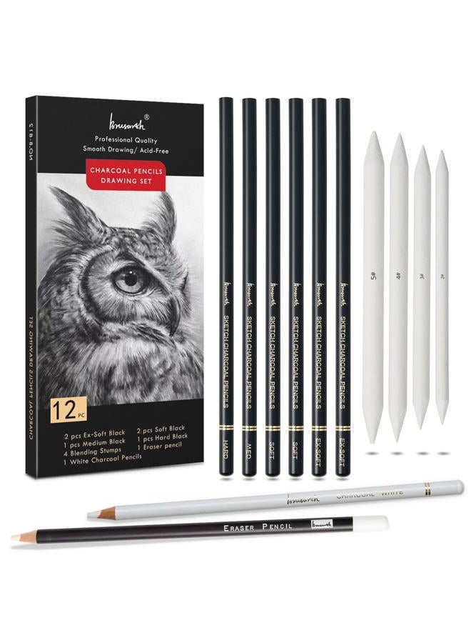 Brusarth Charcoal Drawing Set -12 pc Black charcoal pencils, White Charcoal Pencils, Eraser Pencils, Blending Stumps for Drawing, Sketching, Shading, Artist Pencils for Beginners & Artists - Image 1