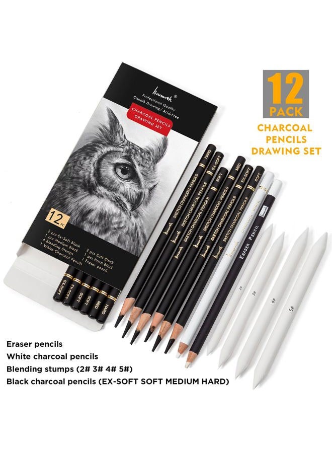 Brusarth Charcoal Drawing Set -12 pc Black charcoal pencils, White Charcoal Pencils, Eraser Pencils, Blending Stumps for Drawing, Sketching, Shading, Artist Pencils for Beginners & Artists - Image 2