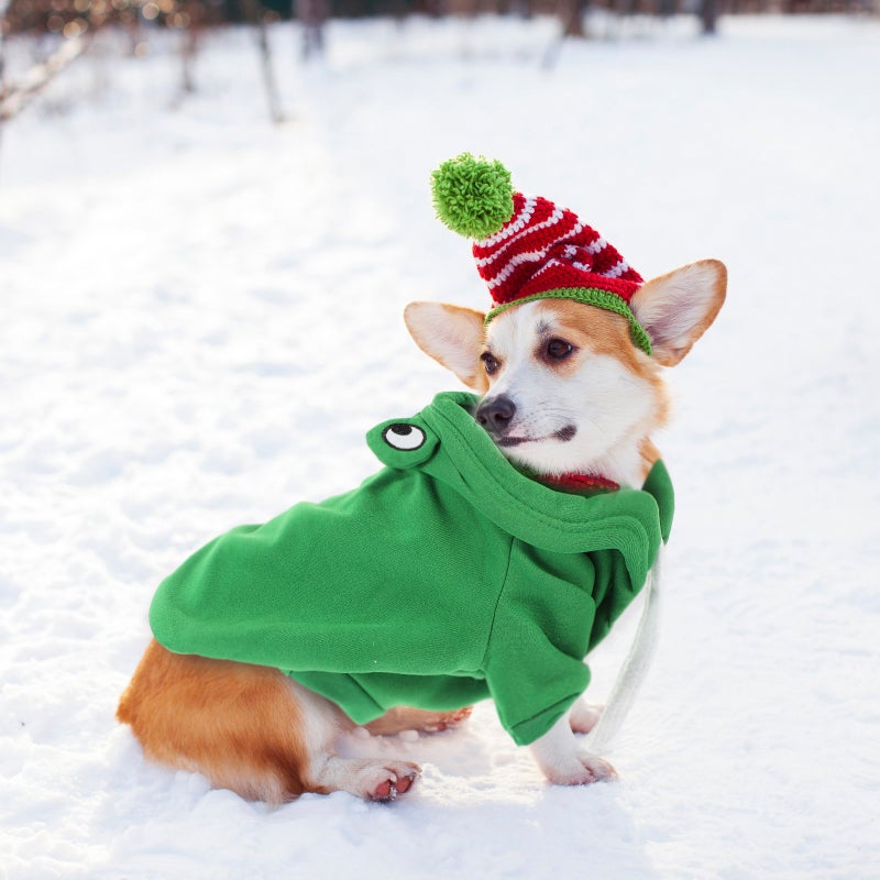 Thickened Dog Clothes Fashion Puppy Sweatshirt Adorable Puppy Clothing Warmth Clothes for Dogs - Image 1