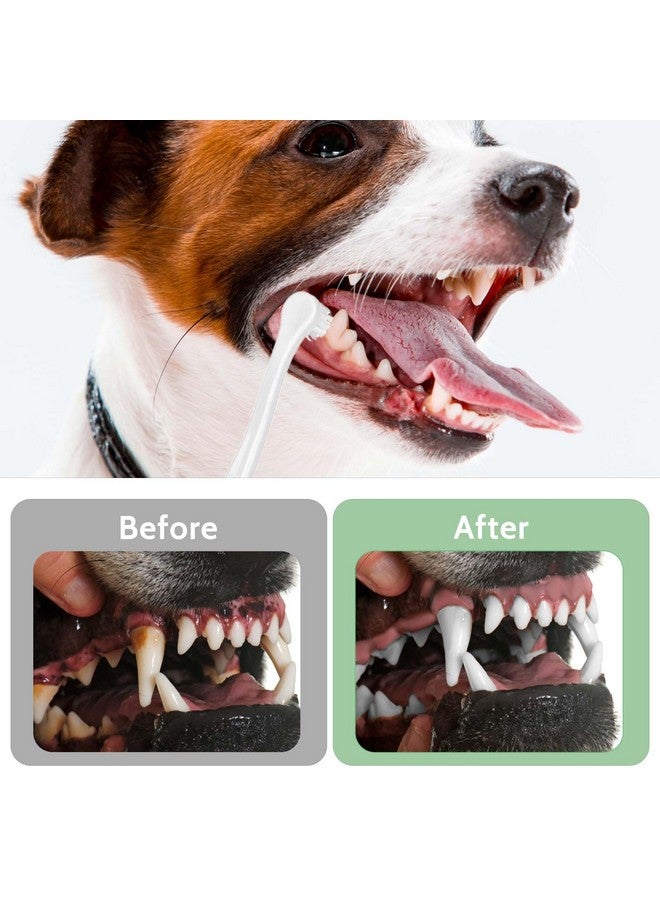 salbsever 4Pcs Dog Toothbrush Pet Toothbrush Soft Mini Cat Tooth Brush Puppy Tooth Brush, Travel Portable Mini Head Deep Clean Kit for Small Dog & Cat, Puppy, Kitten - Image 4