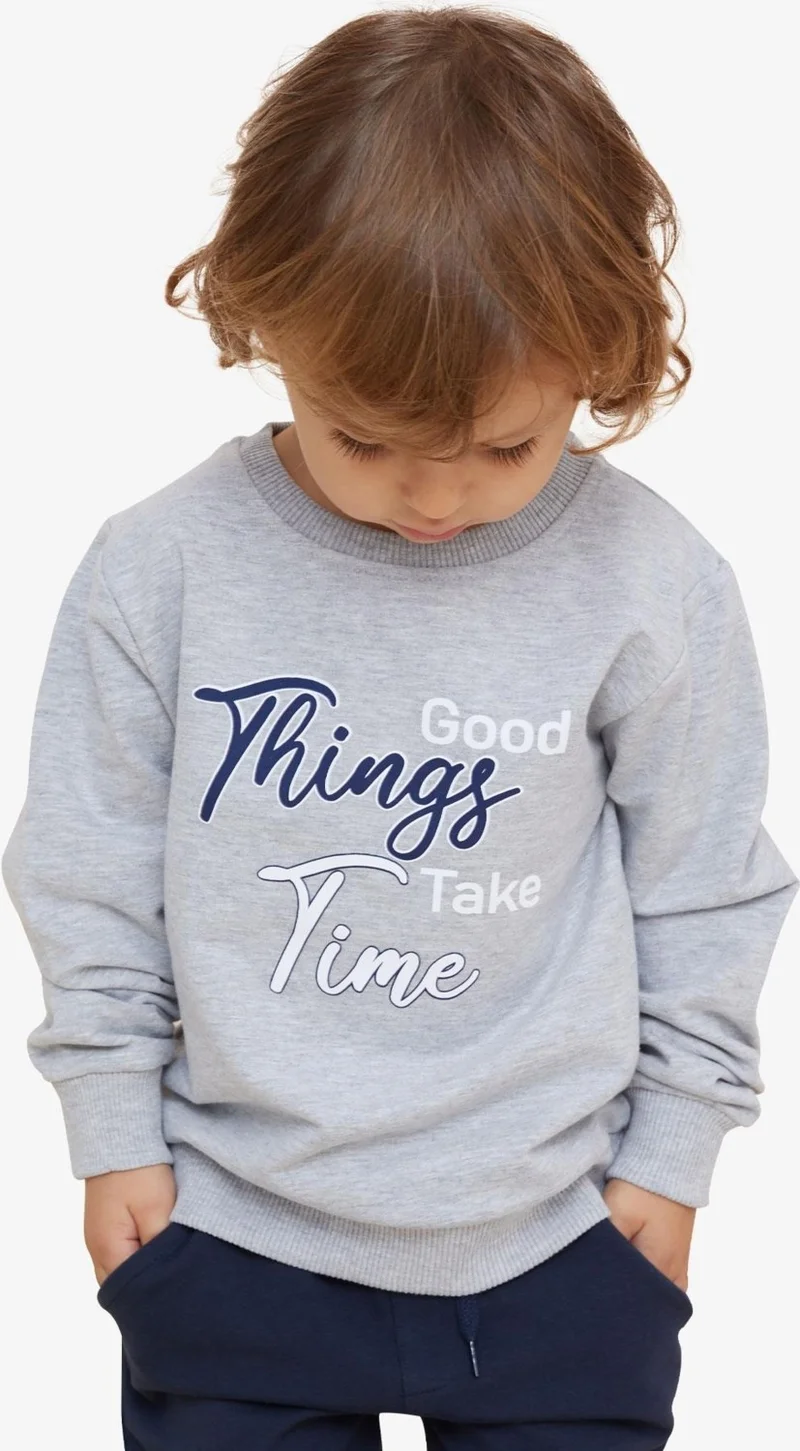 Breeze Girls & Boys Boy's Sweatshirt Text Printed 2-6 Years, Light Gray Melange