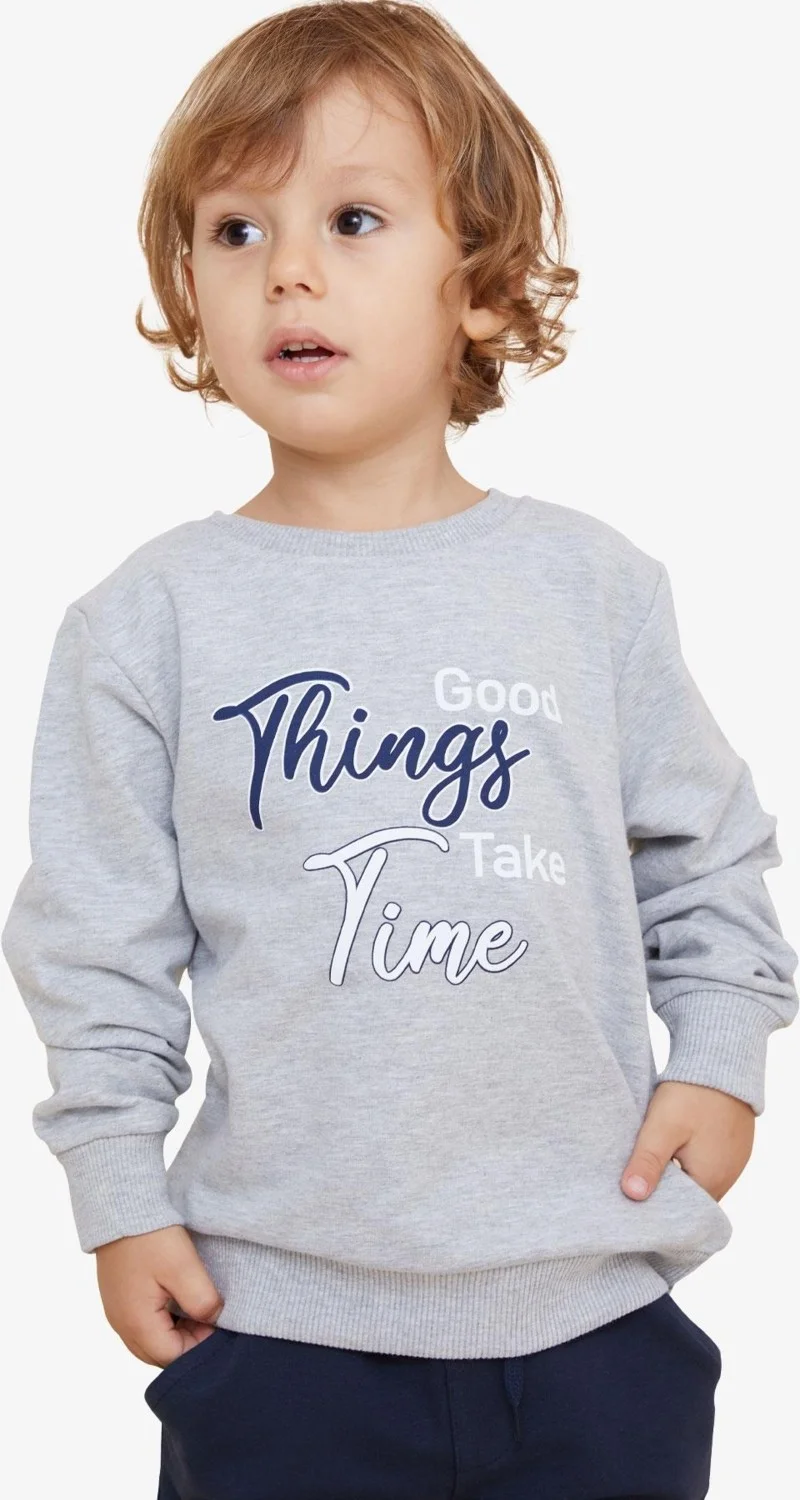 Breeze Girls & Boys Boy's Sweatshirt Text Printed 2-6 Years, Light Gray Melange