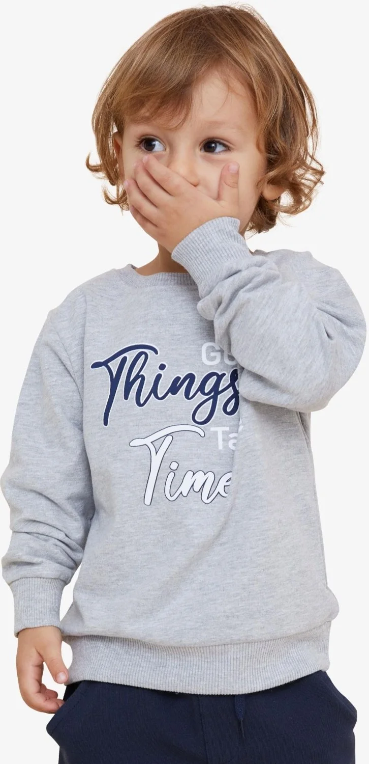Breeze Girls & Boys Boy's Sweatshirt Text Printed 2-6 Years, Light Gray Melange