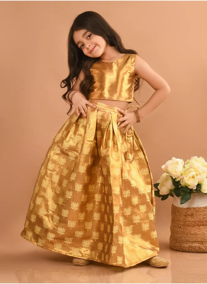 ليل بيكس Lehenga Choli Set