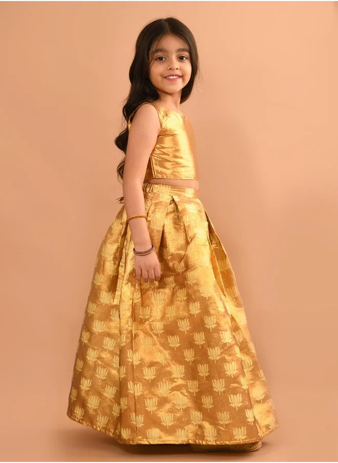 ليل بيكس Lehenga Choli Set