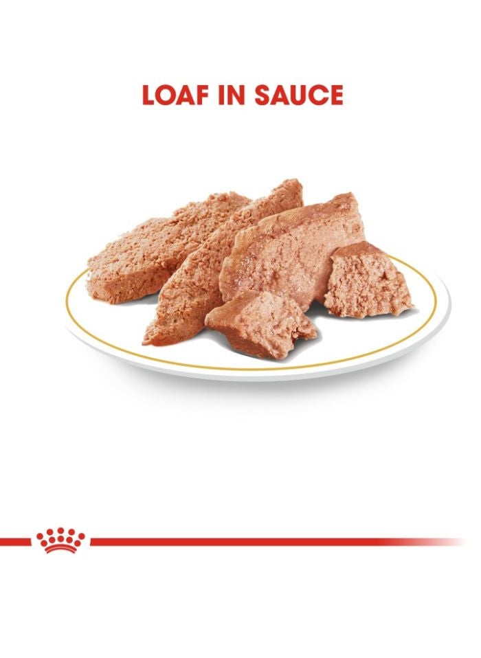 ROYAL CANIN Breed Health Nutrition Dachshund Adult (WET FOOD - Pouches) 12 x 85g - Image 2