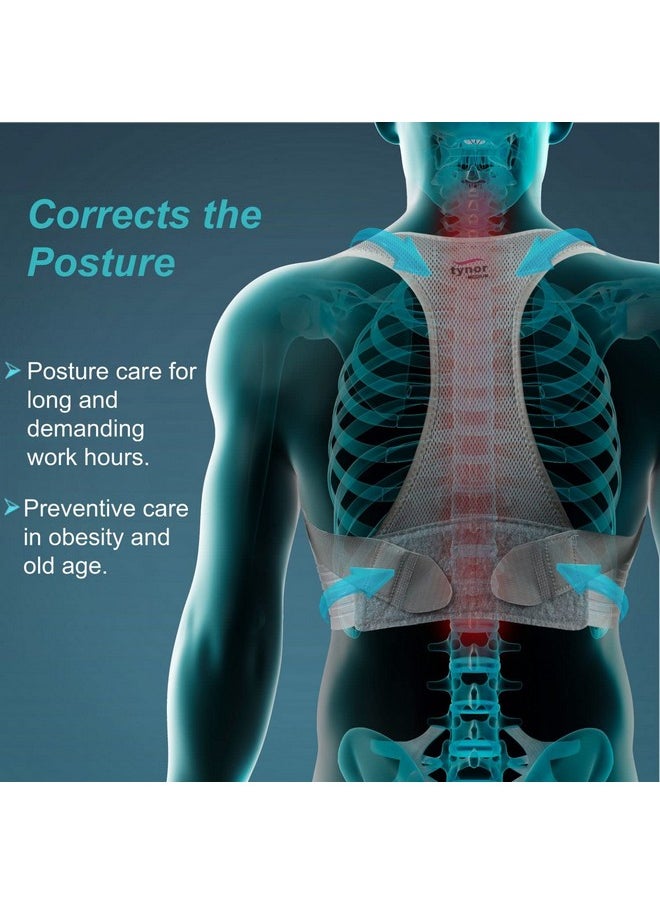 Tynor TYNOR Posture Corrector, Grey, Large, 1 Unit  - Image 2