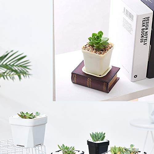 OJYUDD 3inch White Square Plastic Pots with Saucer, Drainage Hole, 24 Pcs, for Flower/Plant, Home,Company,Office and Garden(White) - Image 5