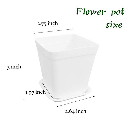 OJYUDD 3inch White Square Plastic Pots with Saucer, Drainage Hole, 24 Pcs, for Flower/Plant, Home,Company,Office and Garden(White) - Image 2