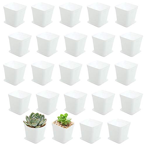 OJYUDD 3inch White Square Plastic Pots with Saucer, Drainage Hole, 24 Pcs, for Flower/Plant, Home,Company,Office and Garden(White) - Image 1