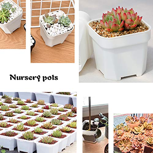 OJYUDD 3inch White Square Plastic Pots with Saucer, Drainage Hole, 24 Pcs, for Flower/Plant, Home,Company,Office and Garden(White) - Image 3