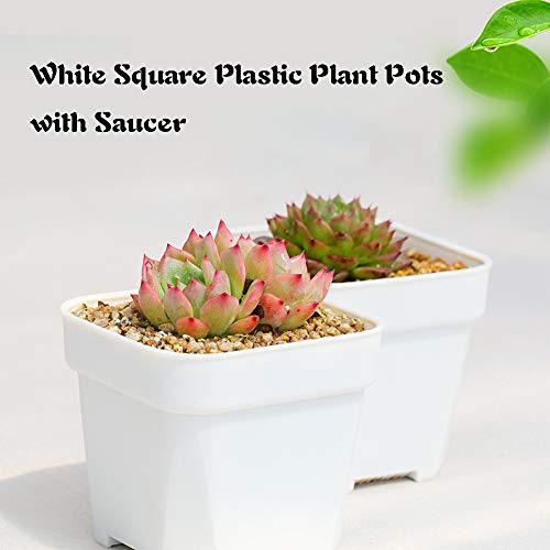 OJYUDD 3inch White Square Plastic Pots with Saucer, Drainage Hole, 24 Pcs, for Flower/Plant, Home,Company,Office and Garden(White) - Image 4