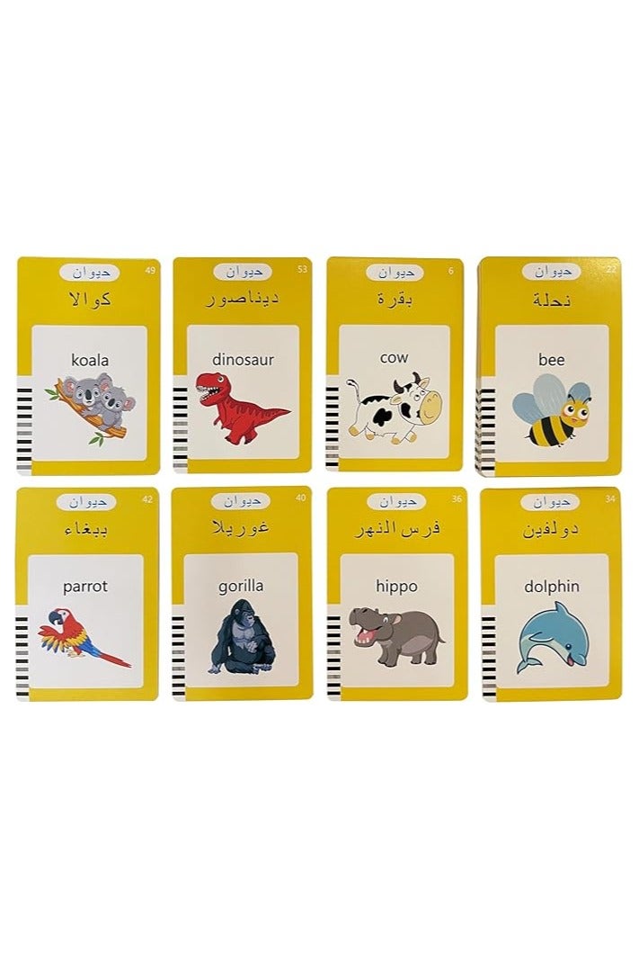 MINMEER Arabic English Alphabet Talking Flash Cards for Kids, Learning Arabic Letters, 224 Basic Sight Words, Arabic Learning Toys for Toddlers - Image 4