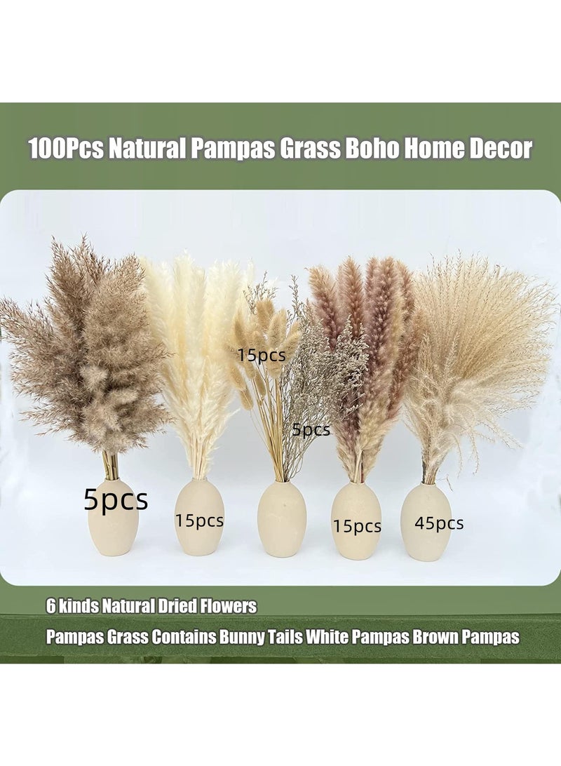 Generic 100 Pcs Dried Pampas Grass Dried Flowers Of Small Reeds Boho Natural Flowers Arrangements White Reed Bunny Tails for Home Decor Flower Living Room Balcony Wedding Party 