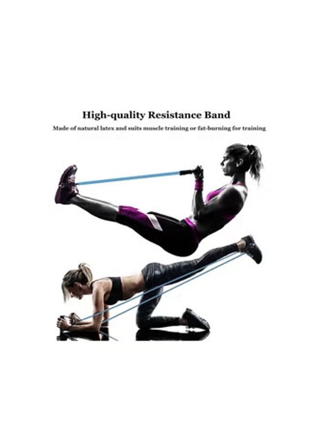 نديور 10 في 1 تمرين رفع اللوح مع شريط مقاومة محمول قابل للطي للعضلات في المنزل الداخلي والخارجي معدات تدريب القوة - Image 4