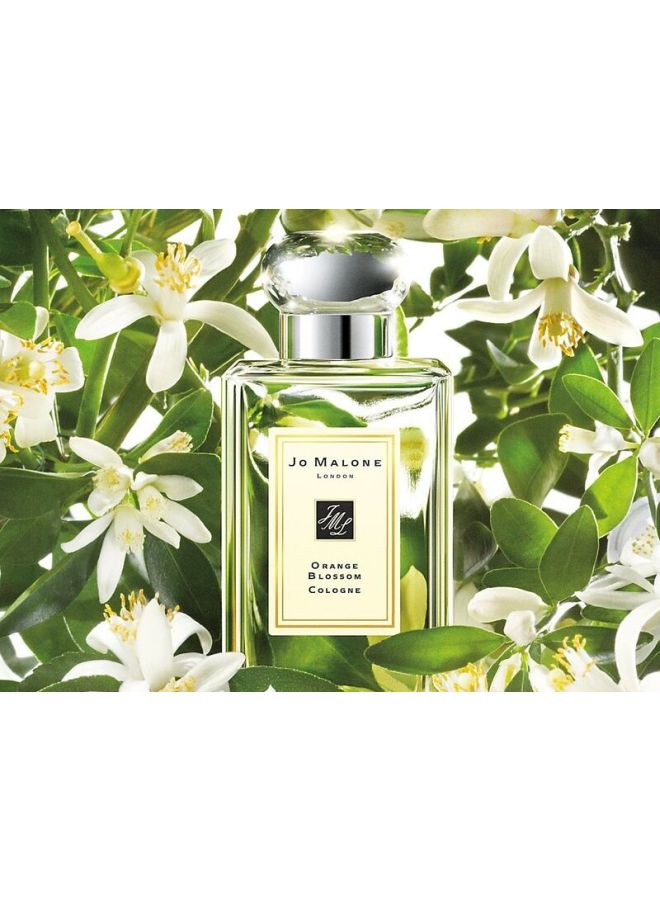 jo Malone Orange Blossom Cologne 100ml - Image 4