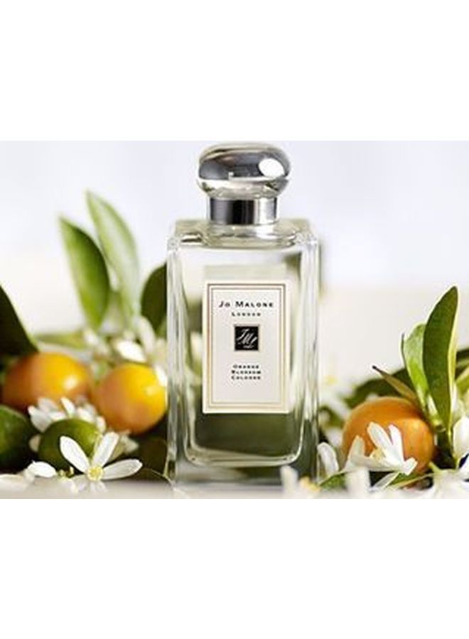 jo Malone Orange Blossom Cologne 100ml - Image 5