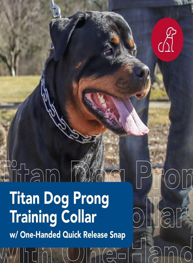 Coastal Pet Titan Dog Prong Quick Release Training Collar - Pet Training Collar for Dogs - Rust-Resistant Metal Dog Collar for Dog Training - Prong Dog Chain Collar - Quality Dog Supplies - 4 mm x 22" - Image 2
