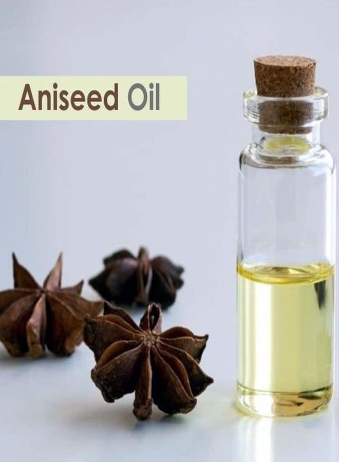 Salvia Aniseed Oil (Pimpinella anisum) Essential Oil for Aromatherapy & DIY Formulations – Sweet Herbal Oil for Skincare, Massage & Blends – 30 ml / 1.01 fl oz - Image 2