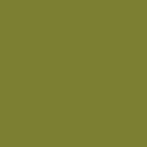 Rachael Ray طبق oval من راشيل راي، 14 إنش، خزف، أخضر - Image 5