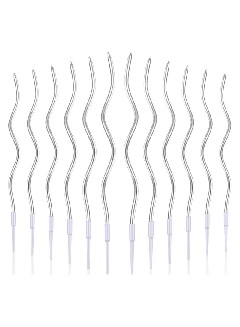 Chocisong 12PCS Twisted Birthday Candles Spiral Metallic Cupcake Thin Long Cake Candles for Birthday Wedding Christmas Ramadan National Day Anniversary Party (Silver) - Image 2