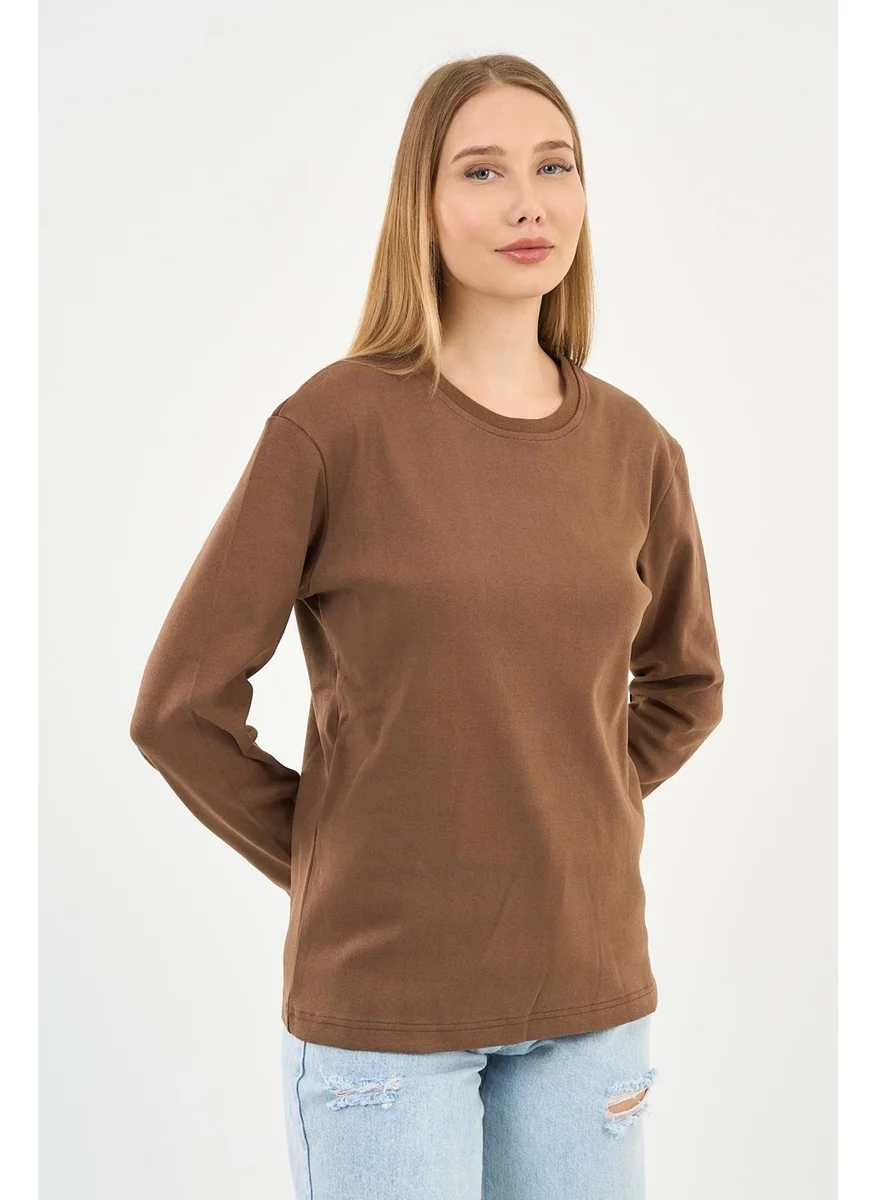الكسندر جاردي Crew Neck Basic Lycra Sweatshirt (WK25512-WN)
