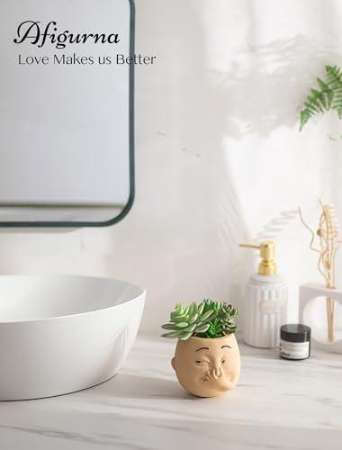 Afigurna Funny Bathroom Planter Decor: Quirky Holding Nose Plant Pot Indoor for Bathroom Counter - Succulent Pot with Drainage - Unique Face Planter for Guest Bath room Counter Shelf Toilet Decoration - Image 4