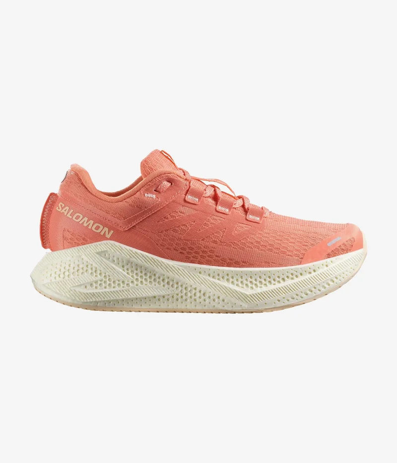 Salomon AERO GLIDE 3 Low Top Sneaker