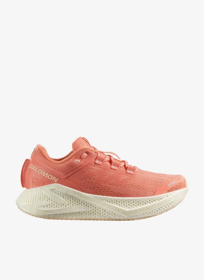 Salomon AERO GLIDE 3 Low Top Sneaker