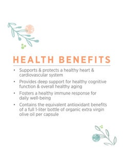Pure Synergy Superpure Olive Extract; 60 Capsules; Usda Organic; Nongmo; Vegan; With Olive Oil Extract And Olive Leaf Extract  - Image 5