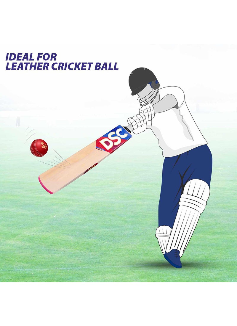 DSC - Intense Zeal Kashmir Willow Cricket Bat for Leather Ball |Size- Harrow | Light Weight | Ready to Play| Free Cover| - Image 1
