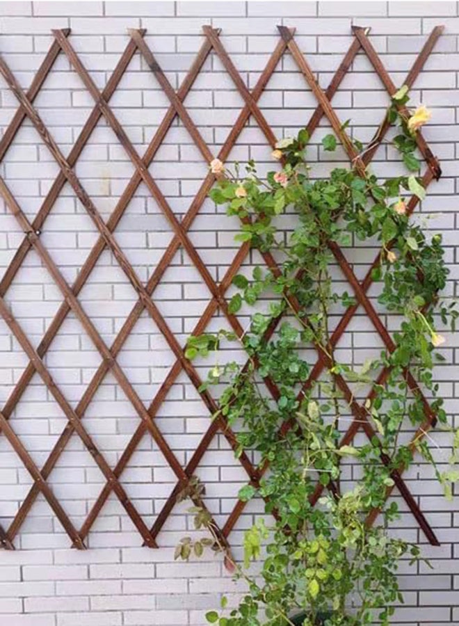 HOME TASTE Extendable Wooden Garden Fence Wooden Picket Fence Trellis Plant Vine Climbing Frame Fence Trellis Fence Support For Climbing Vines Flowers Decoration Wooden Fence (105Cm Fence) - Image 5