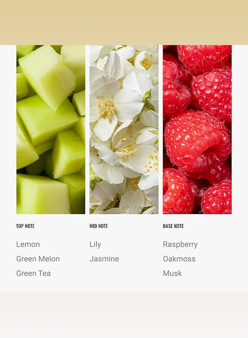 Hotel Collection Mystify Fragrance Oil Blend - Hotel Inspired for Luxury Essential Oil Diffusers - Aromatherapy Scent Diffuser Oil - Citrus, Green Melon, and Raspberry