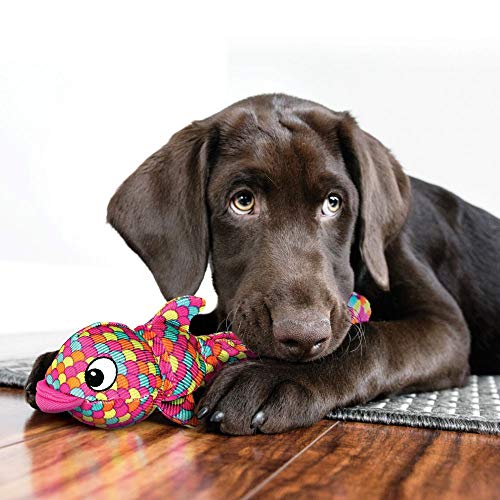 KONG Wubba Finz - Dog Toy for Tug of War & Fetch - Dog Supplies for Puppy & Dog Playtime - Outdoor & Indoor Dog Toy (Pink, Small) - Image 2