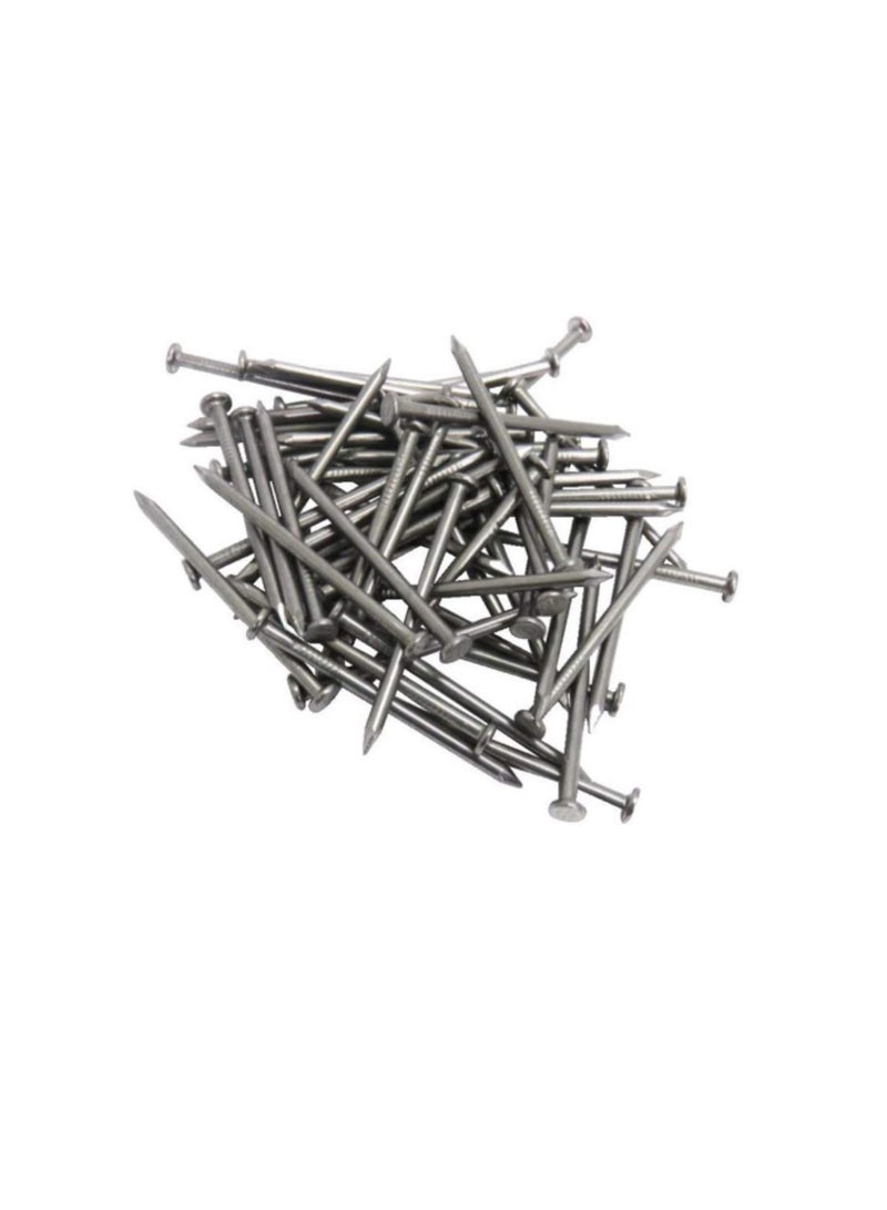 High Strength Round Head Nails For Carpentry Hardware Electrical Etc (300, 3 inch) - Image 2