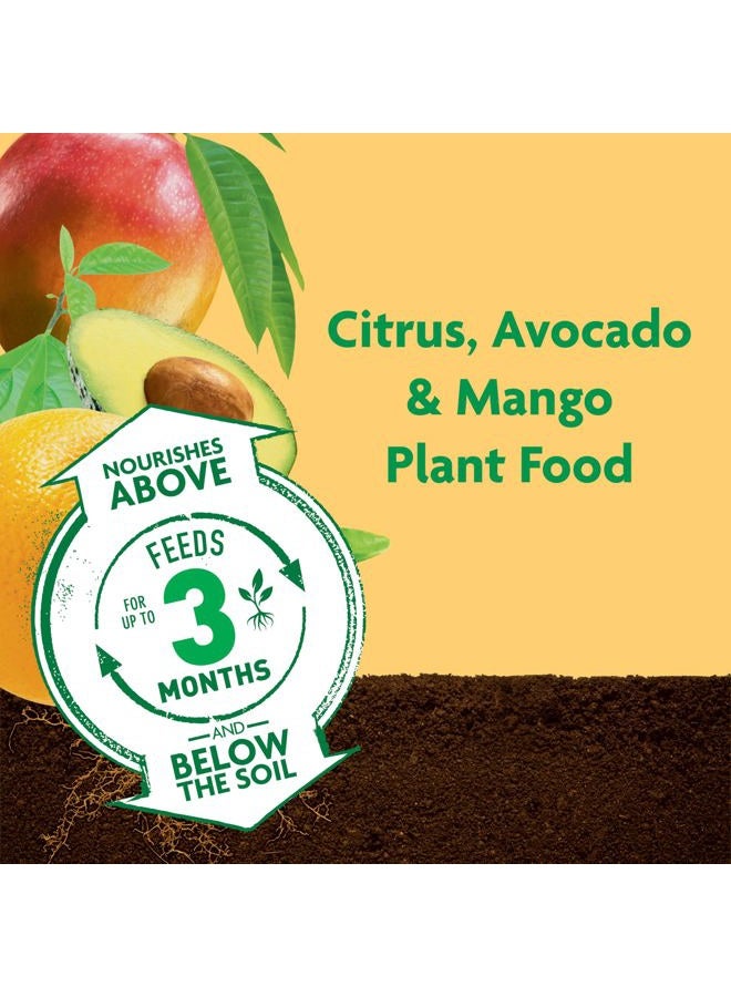 Miracle-Gro Shake 'N Feed Citrus, Avocado, Mango Plant Food, For Container and In-Ground Plants, Citrus Trees, Avocado Trees and Mango Trees, 4.5 lbs. - Image 2