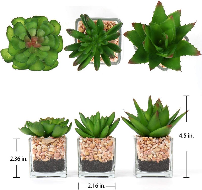 Briful Artificial Succulent Plants Assorted Mini Fake Succulents Plants Small Faux Plant Succulents in Glass Pots Decoration for Home Bathroom Bedroom Table Office Desk Indoor Shelf Decor Set of 3 - Image 2