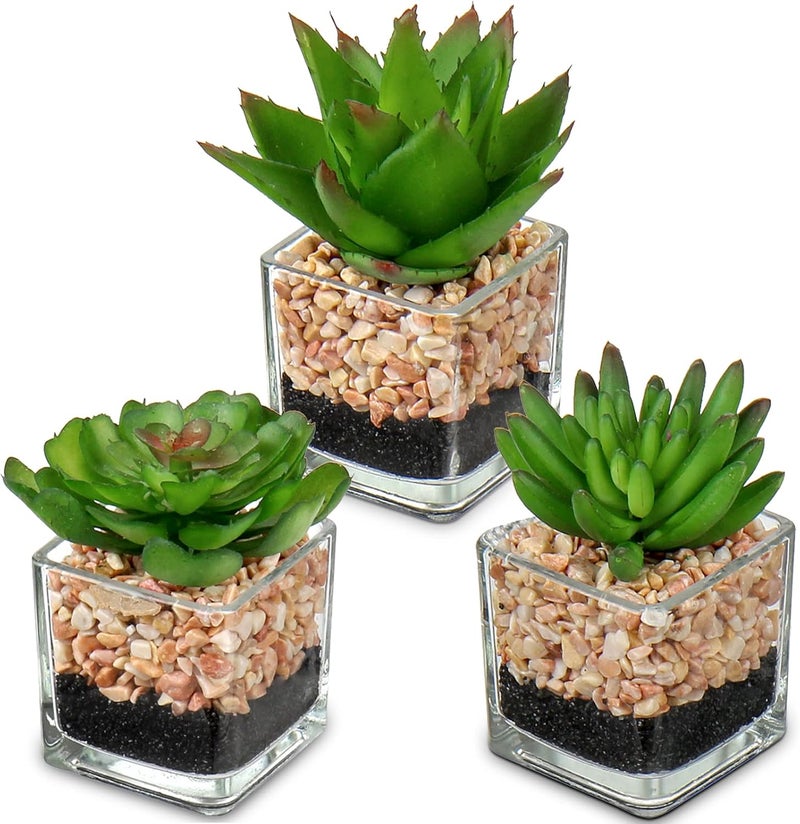 Briful Artificial Succulent Plants Assorted Mini Fake Succulents Plants Small Faux Plant Succulents in Glass Pots Decoration for Home Bathroom Bedroom Table Office Desk Indoor Shelf Decor Set of 3 - Image 1