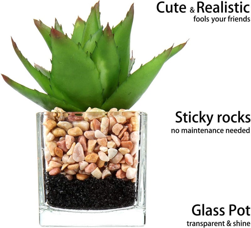 Briful Artificial Succulent Plants Assorted Mini Fake Succulents Plants Small Faux Plant Succulents in Glass Pots Decoration for Home Bathroom Bedroom Table Office Desk Indoor Shelf Decor Set of 3 - Image 3
