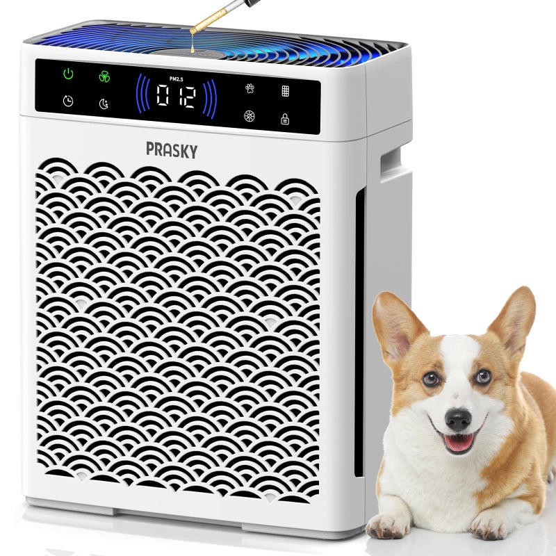 Prasky Air Purifiers for Home Large Room up to 3000sq.ft, PRASKY HEPA Air Purifier & with Activated Carbon for Office, Bedroom, Dorm Room, Kitchen - Image 1