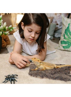 Amosfun Amosfun 4pcs Reptile Bark Cork Wood Bark Terrarium Decor Cork Flat Bedding for Bearded Dragon Lizard Geckos Tortoise, Random Size 3.2 to 5.5Inch  - Image 3