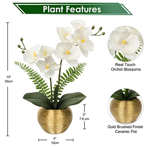 Briful Orchids Artificial Flowers 13'' Fake Orchid Flowers in Gold Ceramic Vase Silk Phalaenopsis White Orchid Flowers for Home Office Wedding Party Table Centerpiece Decor - Image 2