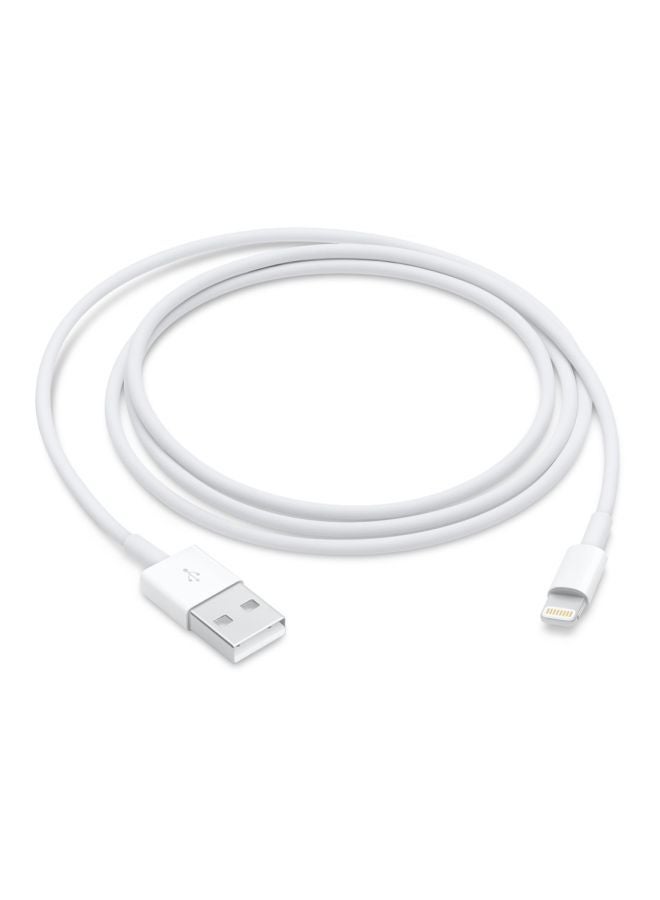 Apple Lightning To USB Charging Cable 2M White - Image 4
