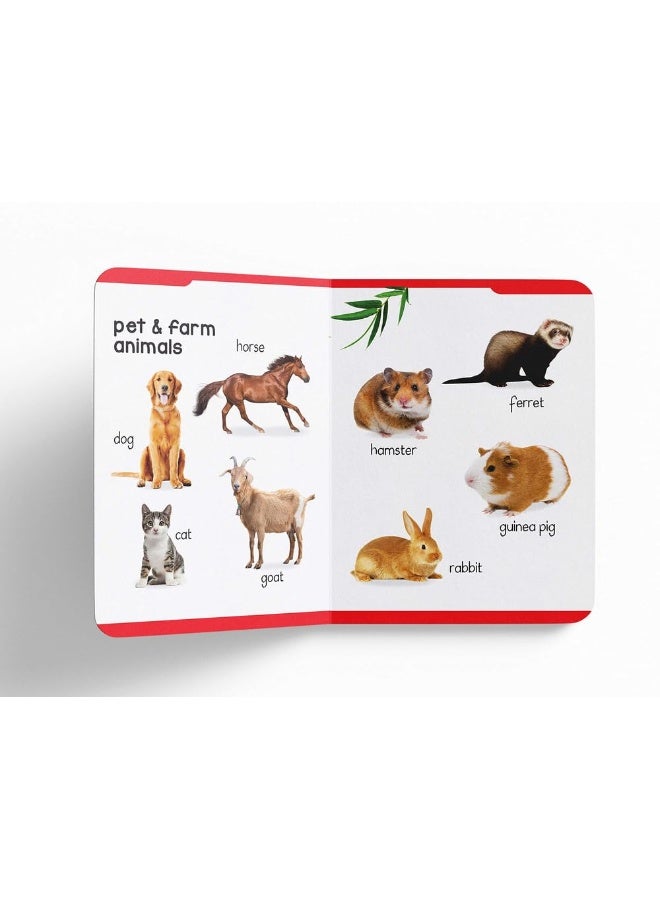 كتابي الأول المبطن للحيوانات - Image 3