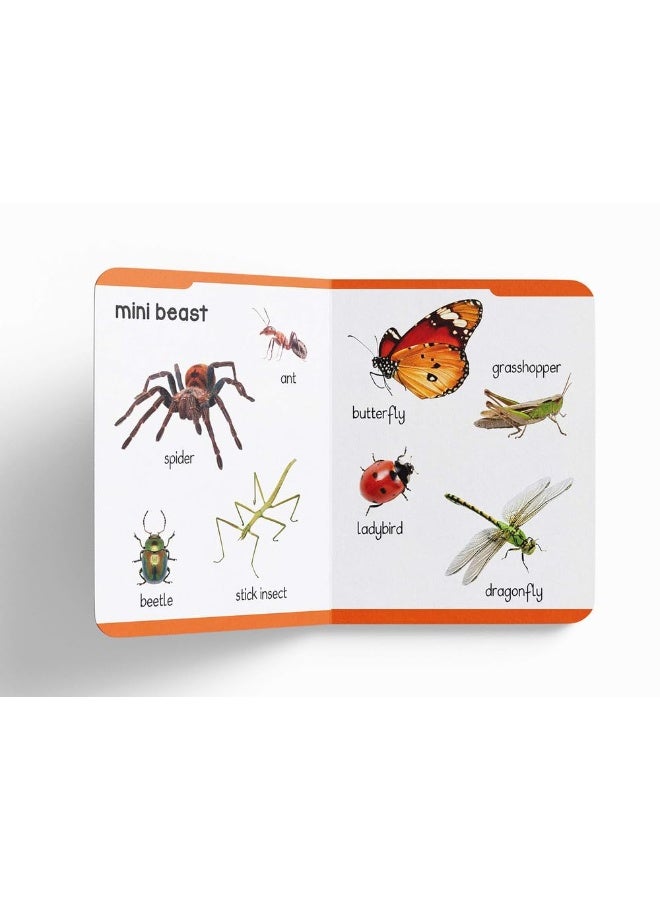 كتابي الأول المبطن للحيوانات - Image 5
